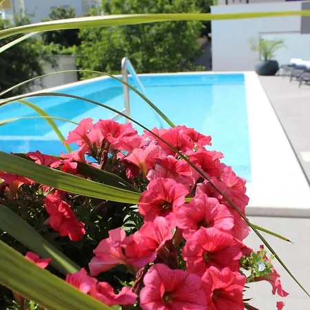 Apartman Antoni 2 *